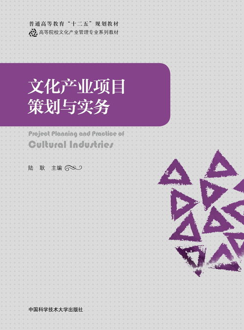 文化產(chǎn)業(yè)項目策劃與實務(wù) 以文化藝術(shù)交流活動策劃為例