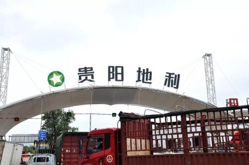 地利集團(tuán)十家農(nóng)批市場(chǎng)榮膺2018年度全國百強(qiáng)，彰顯農(nóng)產(chǎn)品流通行業(yè)標(biāo)桿力量