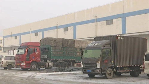 春節(jié)期間市場供應(yīng)保障 食用農(nóng)產(chǎn)品批發(fā)平穩(wěn)運行